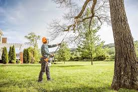 Reliable Ordway, CO Tree Care Services Solutions